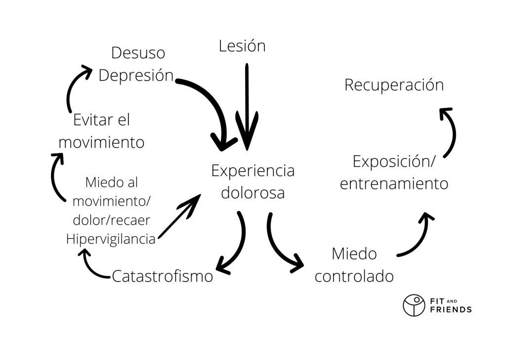 Fit and Friends Kinesiofobia 1