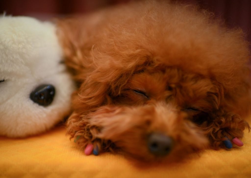 como dormir bien fit and friends 2