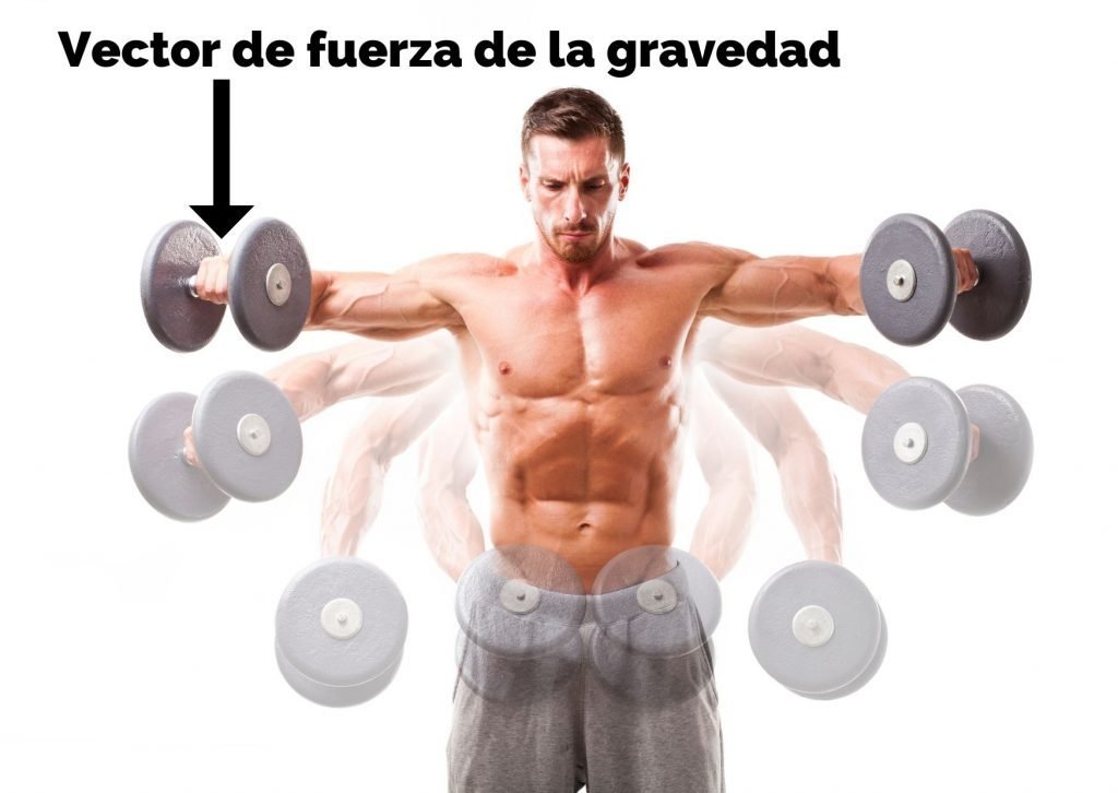 Vector de fuerza elevación lateral fit and friends