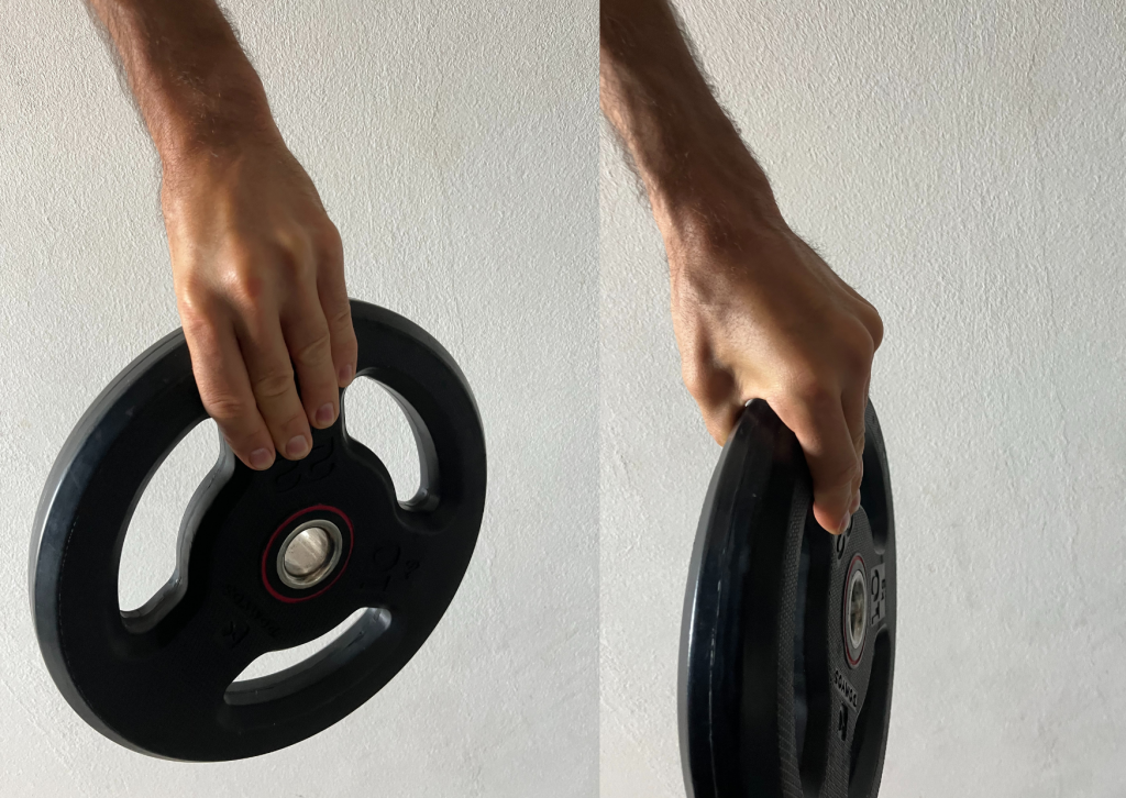 Artículo antebrazos 2