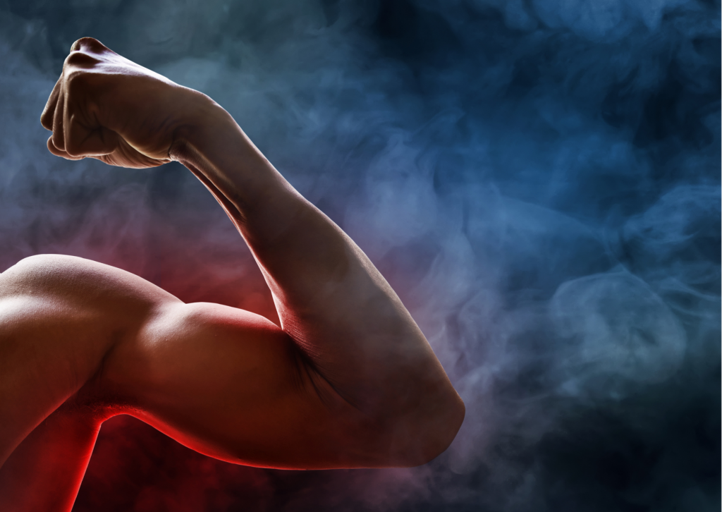 ¿Es necesario “sorprender al músculo” para seguir mejorando? 1 Sorprender al músculo Fit and Friends