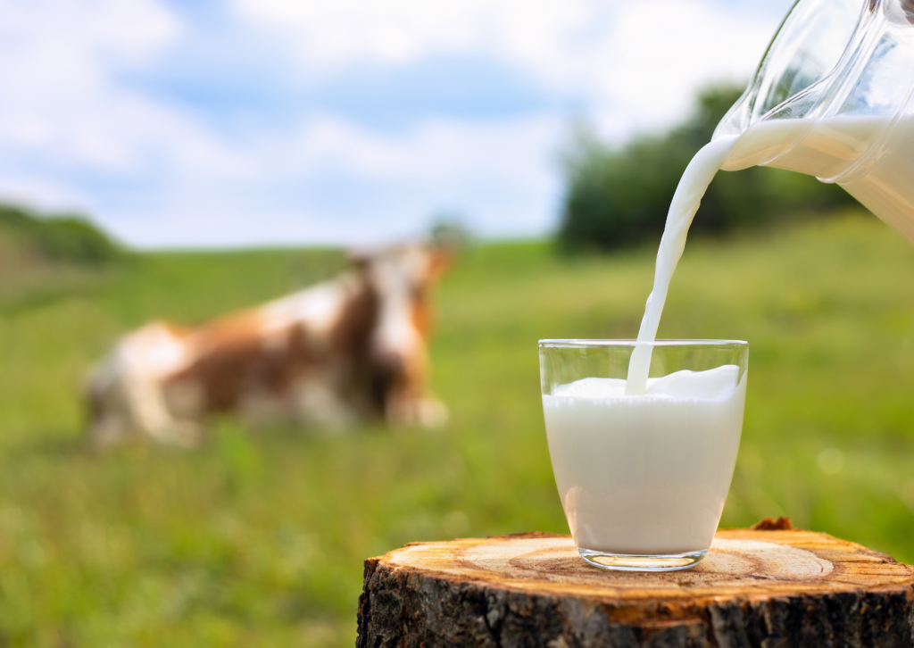 La estafa de la dieta equilibrada 7