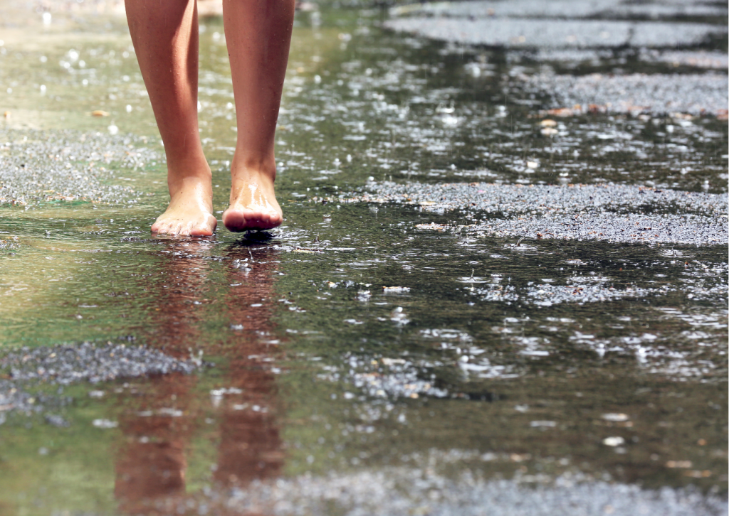 Grounding o Earthing Fitandfriends