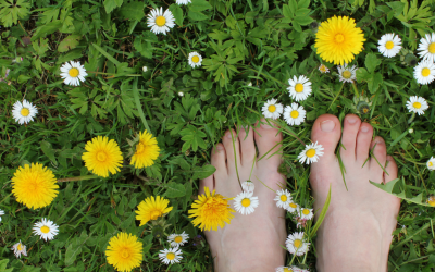 ¿Qué es el Grounding?, y qué beneficios tiene