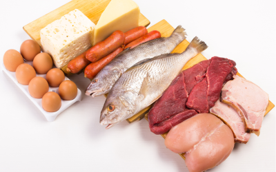 Dieta carnívora y enfermedades autoinmunes