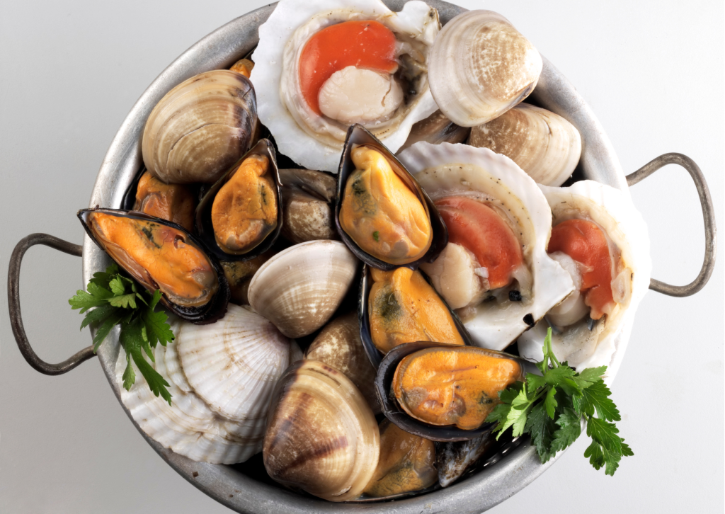 Marisco Fit and Friends