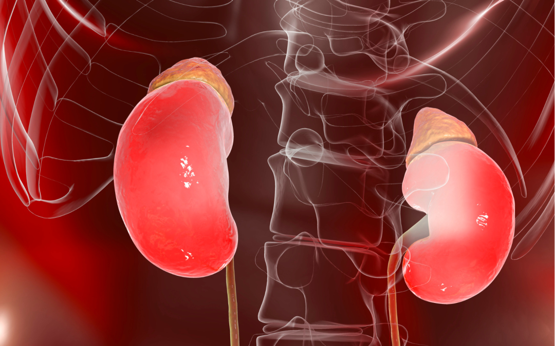 Quizás sufres de fatiga adrenal y no lo sabes