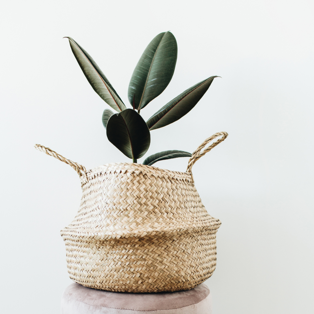 Diseno sin titulo 23