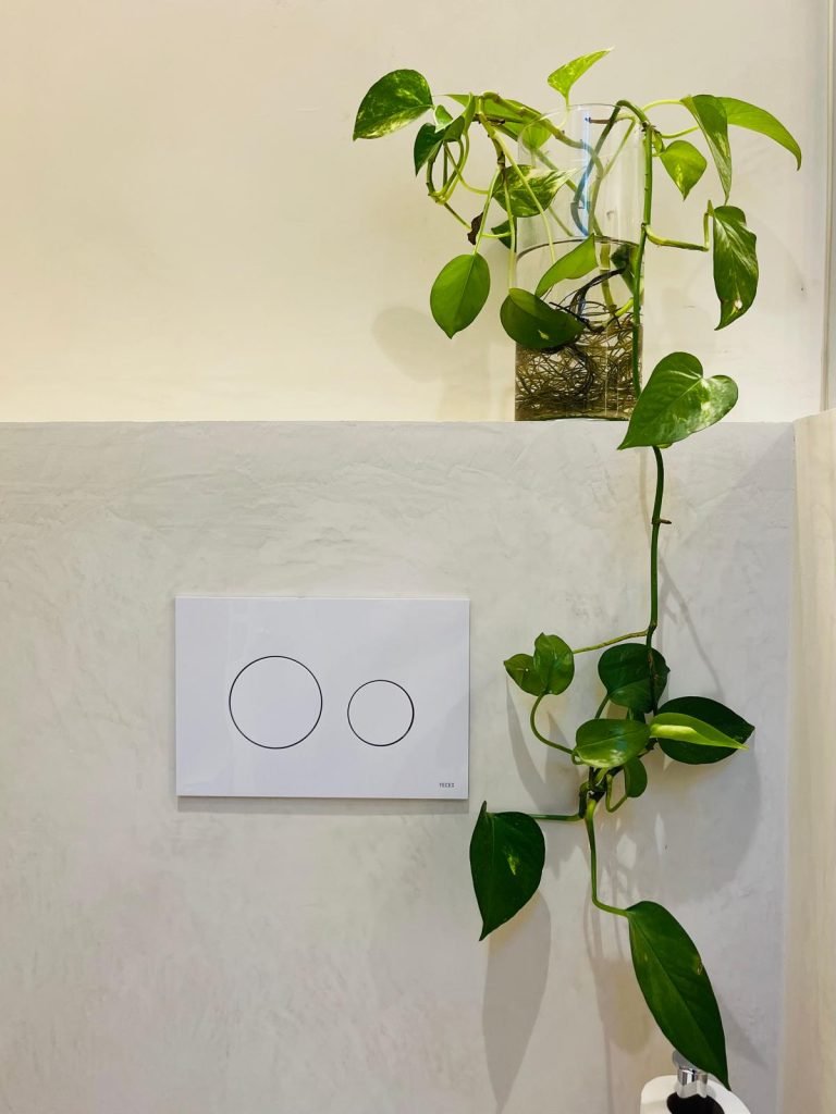 PHOTO 2024 04 29 11 26 19 3