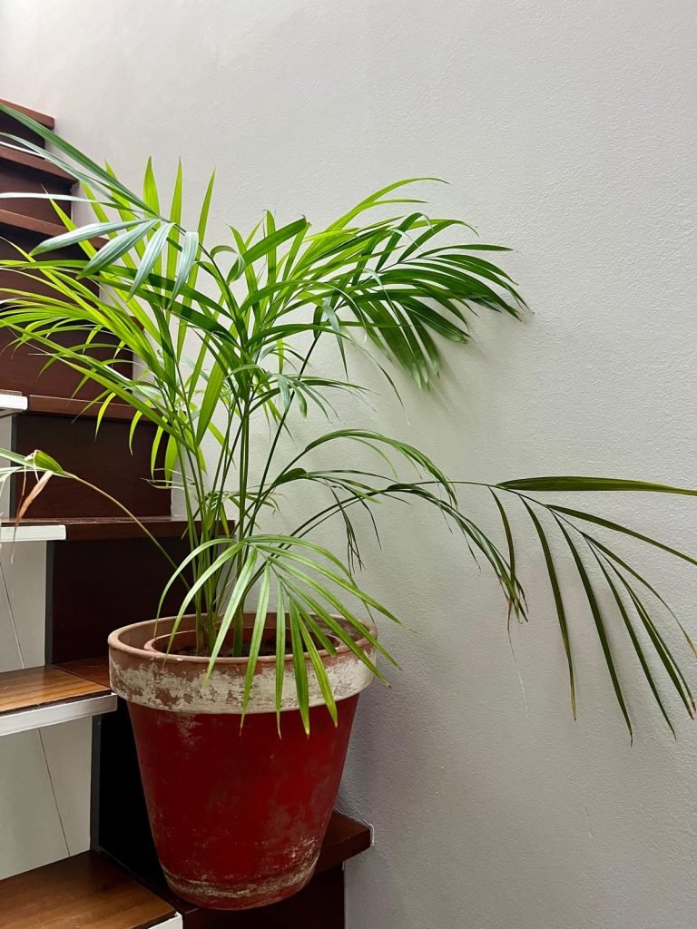 PHOTO 2024 04 29 12 39 18